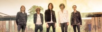 Blossoms 2015