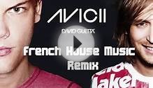 David Guetta & Avicii-Sunshine(French House Music Remix)
