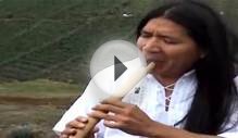 Native American Music Ancient Winds Indian Song